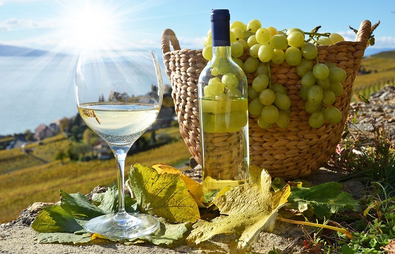 Glass of wine with bottle in front of basket of green grapes. Set on rocky surface outdoors at a wine valley during a sunny day
