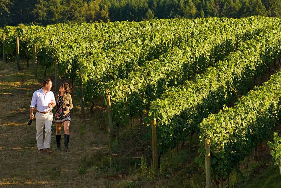 Backcountry Wine Tours