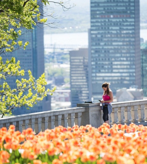 A girl looking at the view in Mount Royal