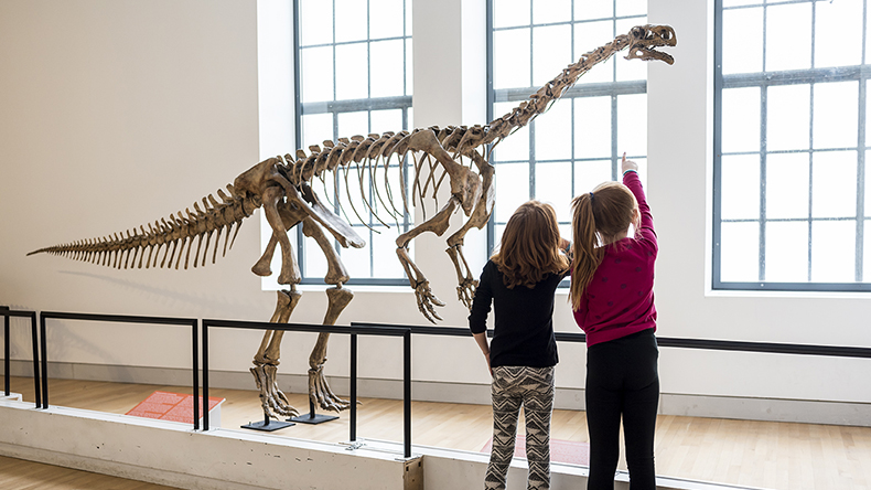 ROM Things to do with kids in Toronto