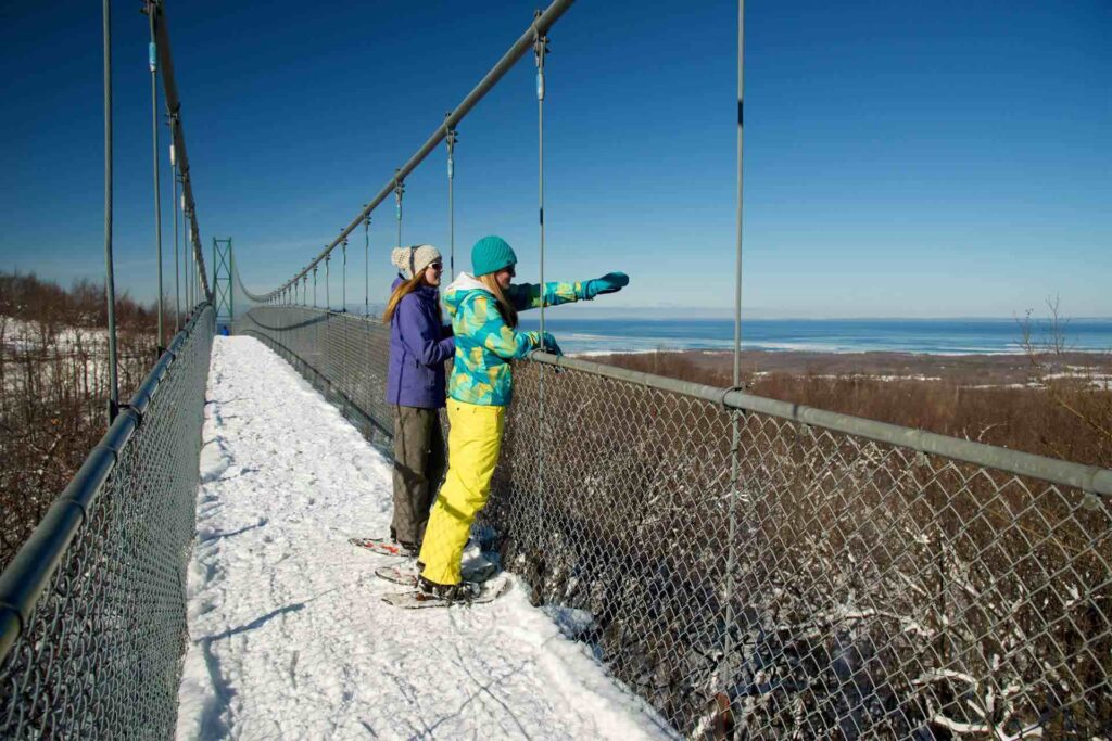 people enjoying the view off the Scenic Caves Suspension Bridge near toronto in the winter