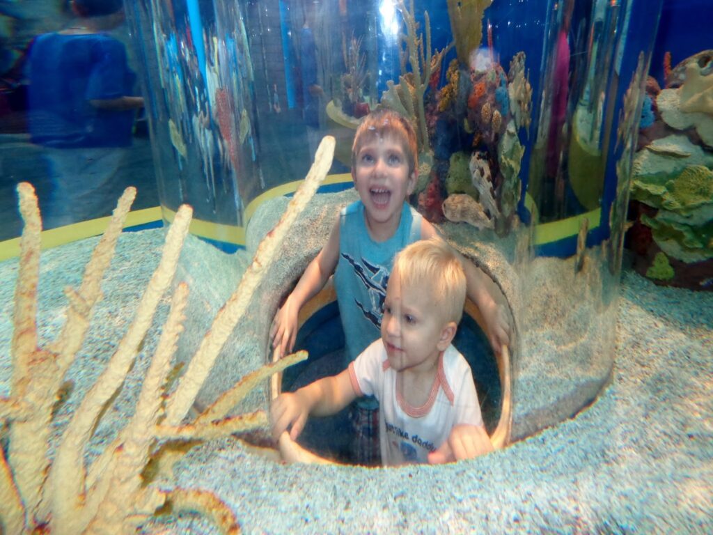 aquarium Things to do with kids in Toronto 